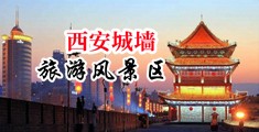 肏浪女的骚屄中国陕西-西安城墙旅游风景区